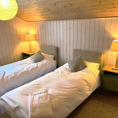 Chalet Nidus Montis Casti-Wergenstein