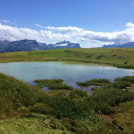 Domek alpejski Nidus Montis