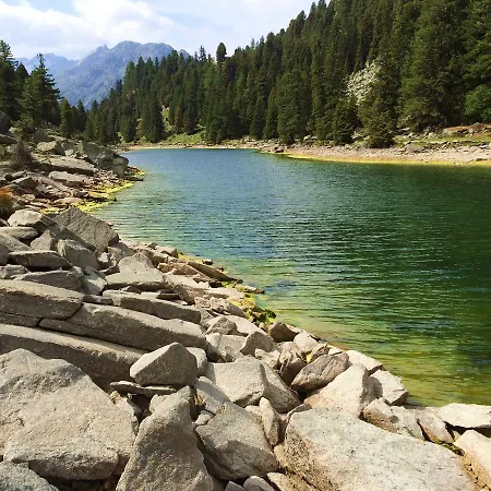 Nidus Montis * Casti-Wergenstein