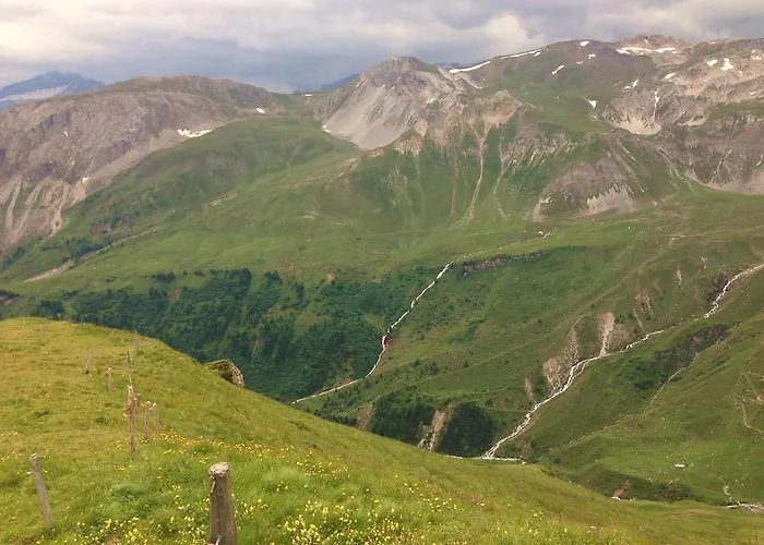 Nidus Montis * Casti-Wergenstein