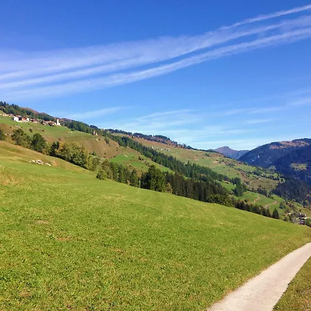 Nidus Montis * Casti-Wergenstein