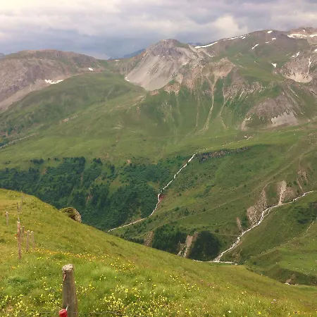 Nidus Montis * Casti-Wergenstein