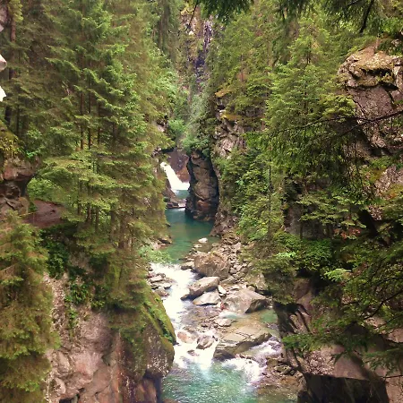 Nidus Montis Dağ evi