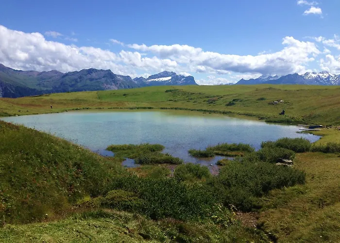 Alpstuga Nidus Montis