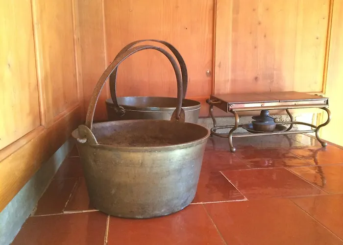 Alpstuga Nidus Montis