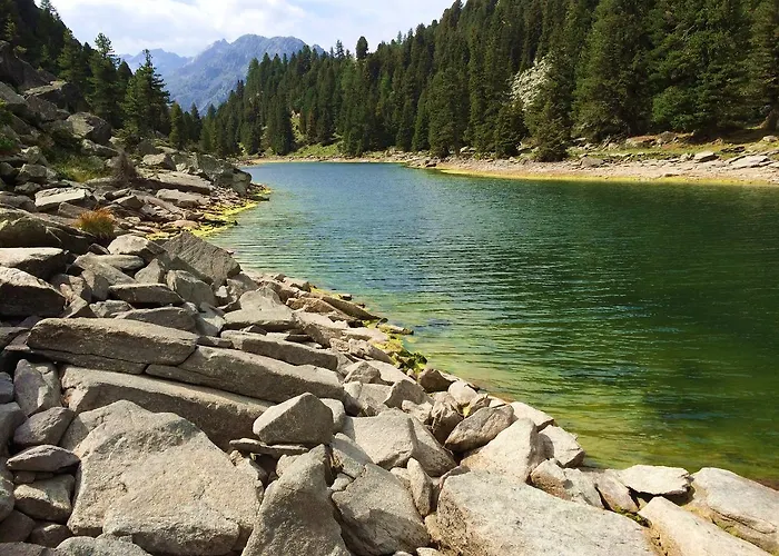 Nidus Montis * Casti-Wergenstein